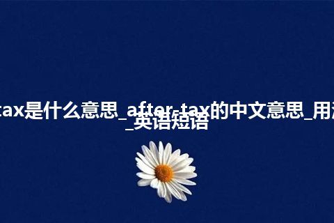 after-tax是什么意思_after-tax的中文意思_用法_例句_英语短语