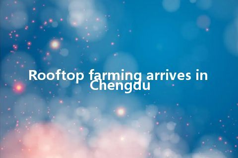 Rooftop farming arrives in Chengdu