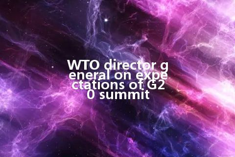 WTO director general on expectations of G20 summit