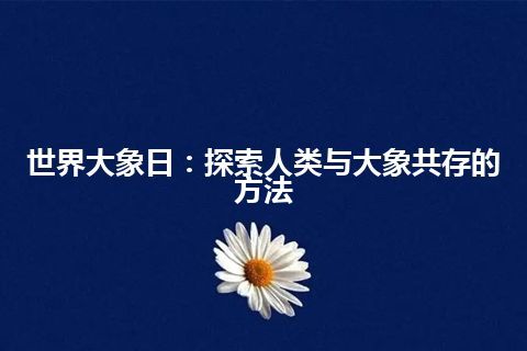 世界大象日：探索人类与大象共存的方法