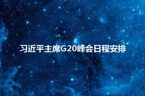 习近平主席G20峰会日程安排