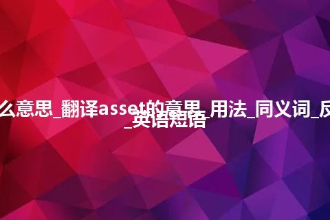 asset是什么意思_翻译asset的意思_用法_同义词_反义词_例句_英语短语