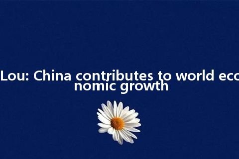 Lou: China contributes to world economic growth