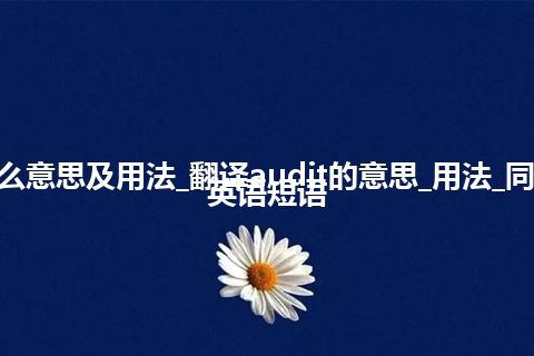 audit是什么意思及用法_翻译audit的意思_用法_同义词_例句_英语短语