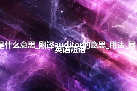 auditor是什么意思_翻译auditor的意思_用法_同义词_例句_英语短语