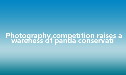 Photography competition raises awareness of panda conservati