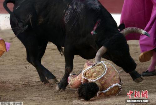 Matador Ivan Fandino killed in France bullfight