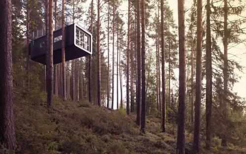 Would you like to wake up at the most beautiful treehouse ho