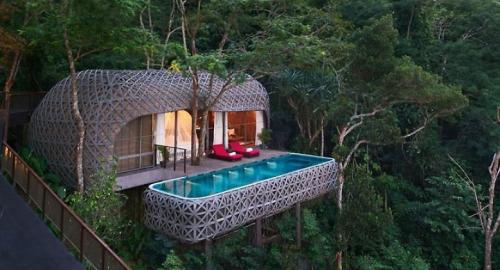 Would you like to wake up at the most beautiful treehouse ho