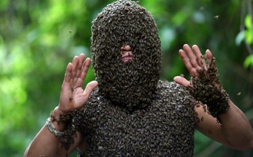 Vietnamese beekeeper attracts thousands of wild bees