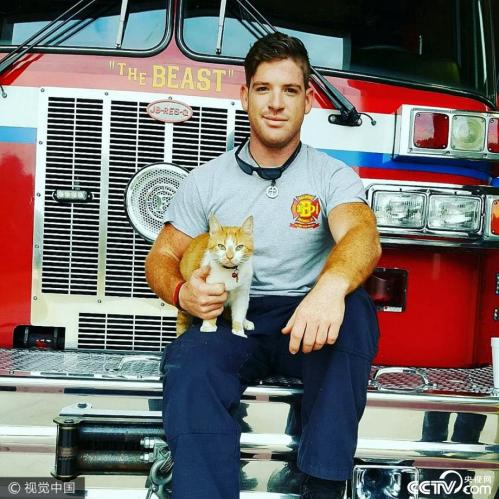 Rescued stray cat becomes famous firefighting cat