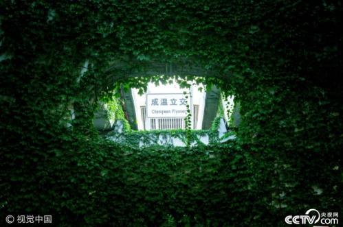 Chengdu viaduct becomes a stunning green corridor