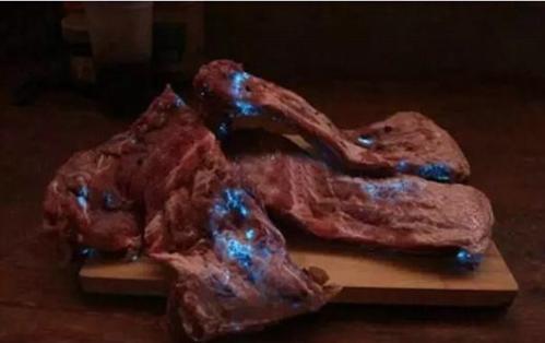 恐怖！猪肉夜里泛出蓝光 “荧光猪肉”你见过吗？