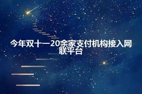 今年双十一20余家支付机构接入网联平台