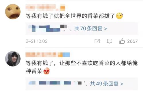 香菜味冰淇淋火了，网友：口感清新，吃完还想再来一个！