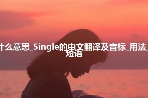 Single是什么意思_Single的中文翻译及音标_用法_例句_英语短语