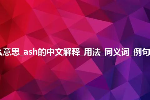 ash是什么意思_ash的中文解释_用法_同义词_例句_英语短语