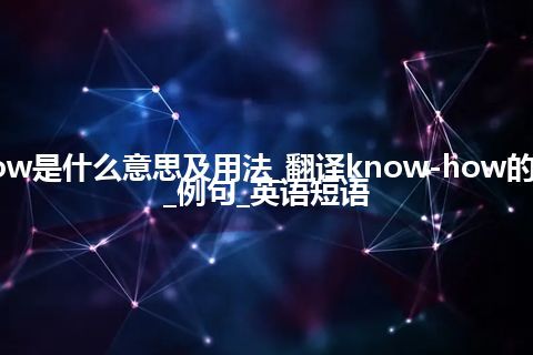 know-how是什么意思及用法_翻译know-how的意思_用法_例句_英语短语