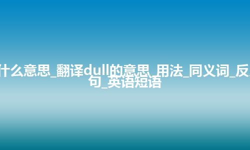 dull是什么意思_翻译dull的意思_用法_同义词_反义词_例句_英语短语