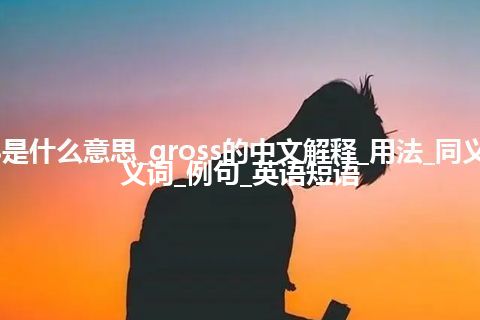 gross是什么意思_gross的中文解释_用法_同义词_反义词_例句_英语短语