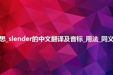 slender是什么意思_slender的中文翻译及音标_用法_同义词_例句_英语短语