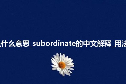 subordinate是什么意思_subordinate的中文解释_用法_同义词_反义词