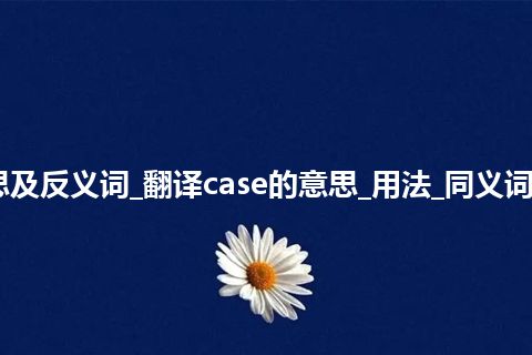 case是什么意思及反义词_翻译case的意思_用法_同义词_例句_英语短语