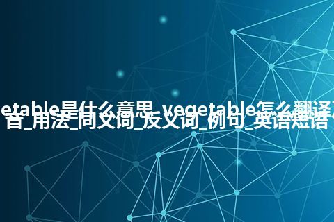 vegetable是什么意思_vegetable怎么翻译及发音_用法_同义词_反义词_例句_英语短语