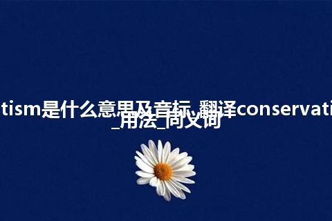 conservatism是什么意思及音标_翻译conservatism的意思_用法_同义词