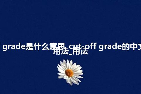 cut-off grade是什么意思_cut-off grade的中文翻译及用法_用法