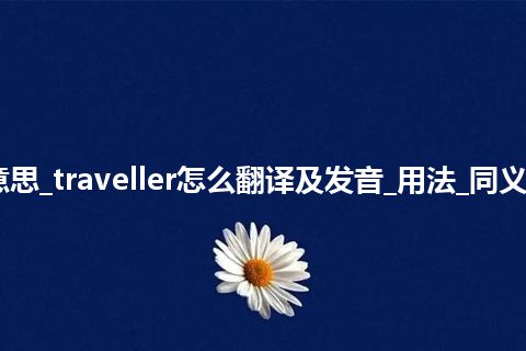 traveller是什么意思_traveller怎么翻译及发音_用法_同义词_例句_英语短语