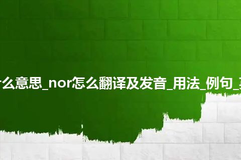 nor是什么意思_nor怎么翻译及发音_用法_例句_英语短语