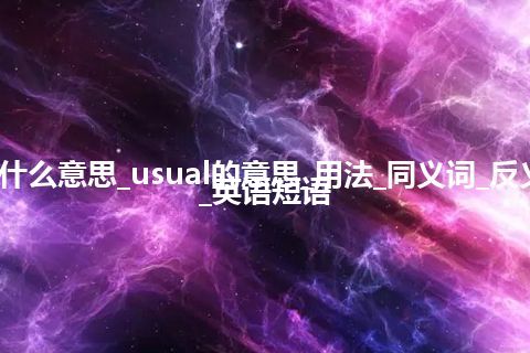 usual是什么意思_usual的意思_用法_同义词_反义词_例句_英语短语