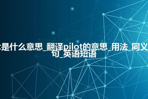 pilot是什么意思_翻译pilot的意思_用法_同义词_例句_英语短语