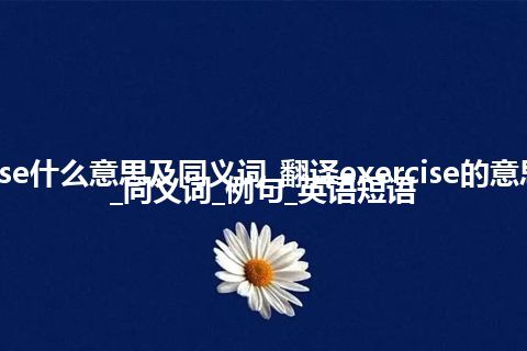 exercise什么意思及同义词_翻译exercise的意思_用法_同义词_例句_英语短语