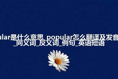 popular是什么意思_popular怎么翻译及发音_用法_同义词_反义词_例句_英语短语