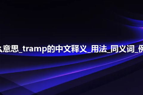 tramp是什么意思_tramp的中文释义_用法_同义词_例句_英语短语