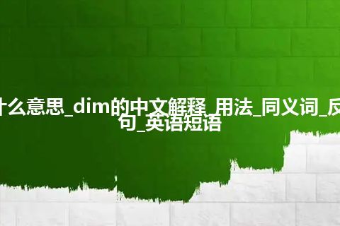 dim是什么意思_dim的中文解释_用法_同义词_反义词_例句_英语短语