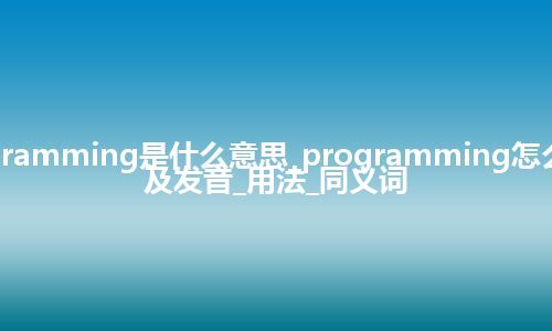 programming是什么意思_programming怎么翻译及发音_用法_同义词