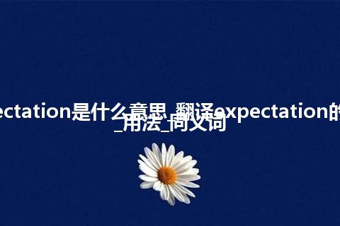 expectation是什么意思_翻译expectation的意思_用法_同义词