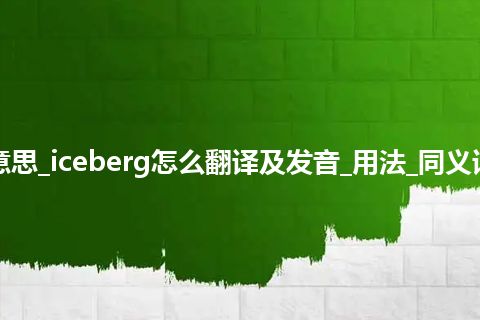 iceberg是什么意思_iceberg怎么翻译及发音_用法_同义词_例句_英语短语