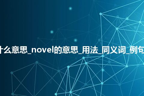 novel是什么意思_novel的意思_用法_同义词_例句_英语短语