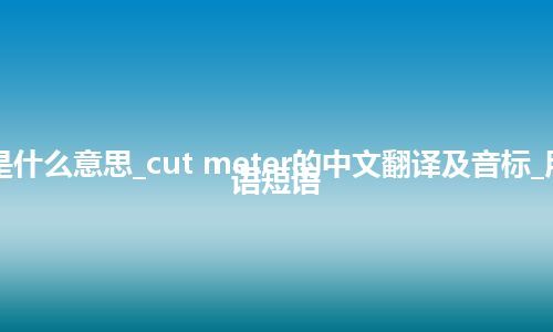 cut meter是什么意思_cut meter的中文翻译及音标_用法_例句_英语短语