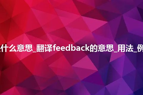 feedback是什么意思_翻译feedback的意思_用法_例句_英语短语