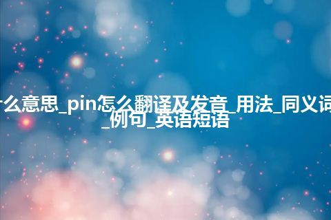 pin是什么意思_pin怎么翻译及发音_用法_同义词_反义词_例句_英语短语