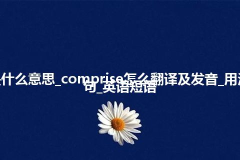 comprise是什么意思_comprise怎么翻译及发音_用法_同义词_例句_英语短语