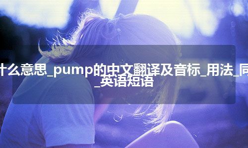 pump是什么意思_pump的中文翻译及音标_用法_同义词_例句_英语短语