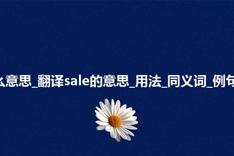 sale是什么意思_翻译sale的意思_用法_同义词_例句_英语短语