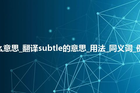 subtle是什么意思_翻译subtle的意思_用法_同义词_例句_英语短语