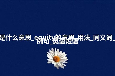 equity是什么意思_equity的意思_用法_同义词_反义词_例句_英语短语